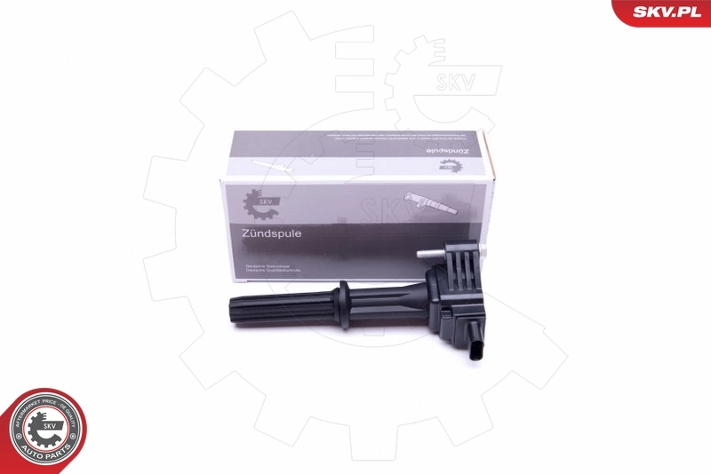 Ignition Coil